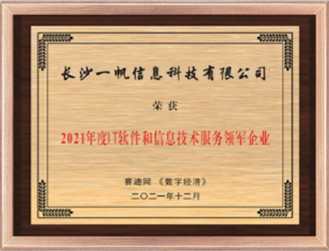 工信部2021年度IT软件和信息技术服务领军企业奖
